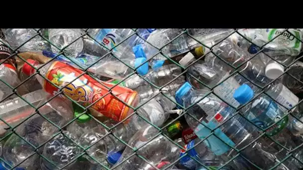Pollution plastique : la consigne en verre, une mesure loin de voir le jour