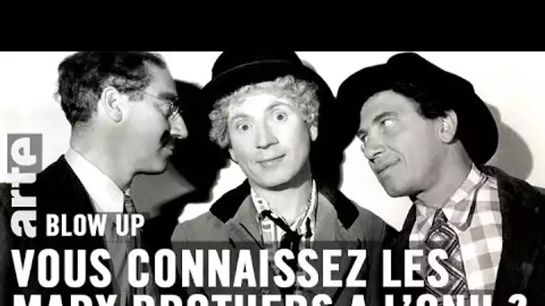 Vous connaissez Les Marx Brothers à l’ONU ? - Blow Up - ARTE