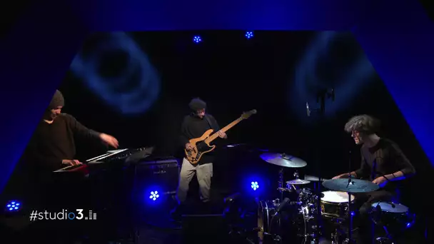 Un safari tout en musique dans la jungle d'Osmosis avec #studio3