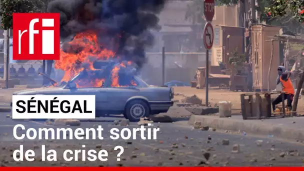 Sénégal: « Tout scénario qui exclurait Sonko de la présidentielle serait porteur de violence » • RFI