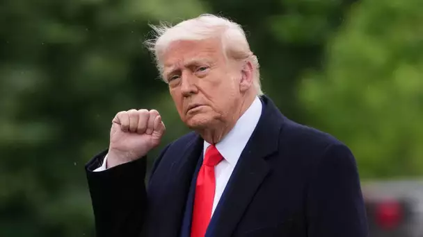 En interdisant les étudiants étrangers à Harvard, Donald Trump frappe l'université au portefeuille