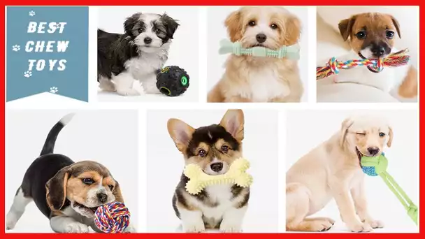 Dog Chew Toys for Puppy Teething - 20 Pack Indestructible Pet Dog Toys for Puppy Chewers,