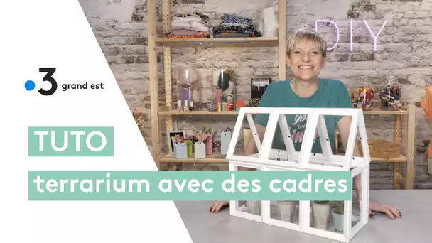 Tuto terrarium : fabriquer une petite serre vitrée avec des cadres photo