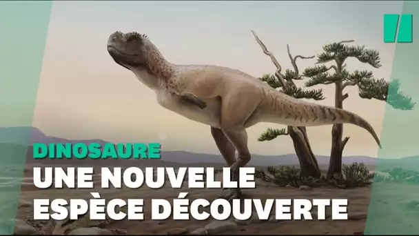 Une nouvelle espèce de dinosaure vieille de 70 millions d'années