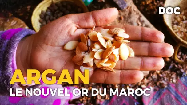 Le nouvel or du Maroc - Documentaire HD COMPLET Français