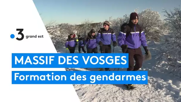 Massif des Vosges : les gendarmes se forment en montagne