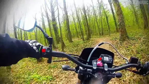 GoPro : Chemins de fôret en Derbi 50cc