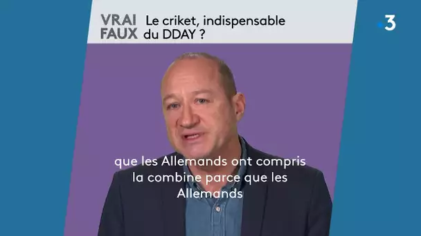 Vrai / Faux :  le criket, indispensable du DDAY ? Stéphane Simonnet répond à nos questions