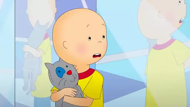 Caillou et le Labyrinthe de Miroirs | Caillou en Français