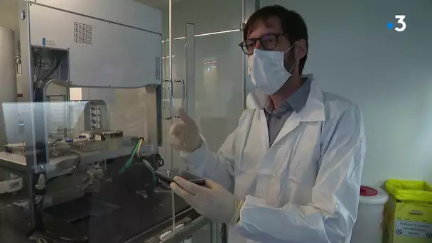 Dans les coulisses de l'Institut Pasteur de Lille qui cherche un traitement contre le Covid-19