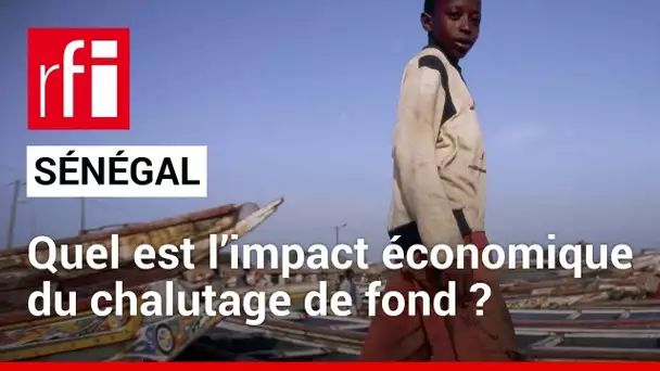 Sénégal : la pêche artisanale menacée par le chalutage de fond • RFI