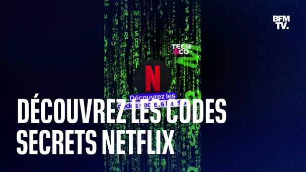 Explorez les catégories cachées de Netflix grâce aux codes secrets