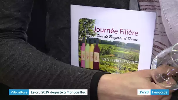 Dégustation du millésime 2019 des vins de Bergerac et Duras