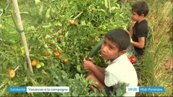 Vacances à la campagne pour les enfants de l'association Louis Colombant