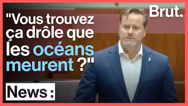 Au Parlement australien, la colère d'un sénateur à propos de la Grande barrière de Corail