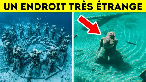 Cette Ville Sous-Marine En Inde Pourrait Être La Plus Ancienne Du Monde