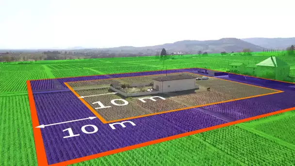 Saône-et-Loire : à quelle distance des maisons peut-on traiter les vignes, la question divise