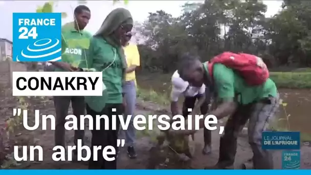 "Un anniversaire, un arbre" : Conakry se mobilise pour reboiser ses espaces verts • FRANCE 24