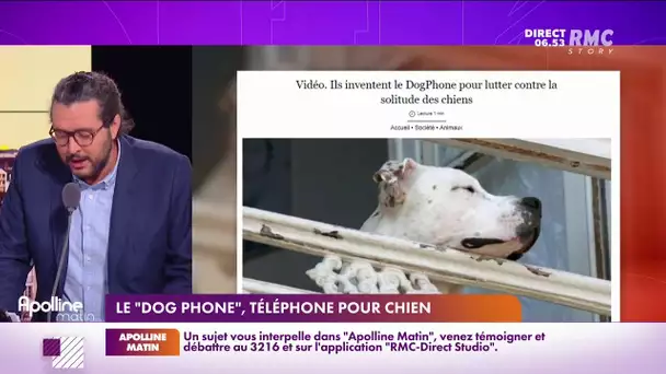 Voici l'invention du 'Dog Phone'"