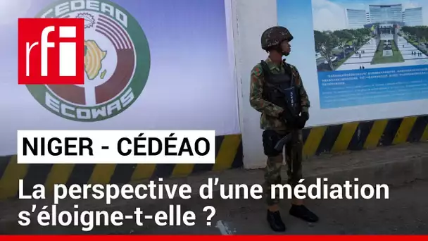 Niger : la Cédéao active sa force en attente, qu'en est-il de la médiation ?  • RFI
