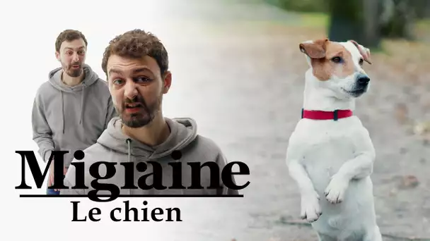 Migraine de Roman Frayssinet : Le chien - Clique à 20h25 en clair sur CANAL+