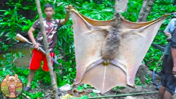 Si vous voyez ceci dans une forêt, COUREZ et demandez de l’aide immédiatement !