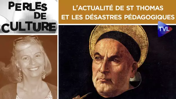 L'actualité de St Thomas et les désastres pédagogiques - Perles de Culture n°307 - TVL