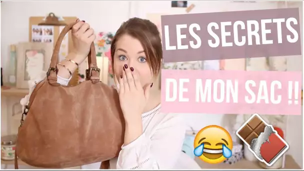 [ Tag n°69 ] : LES SECRETS DE MON SAC !