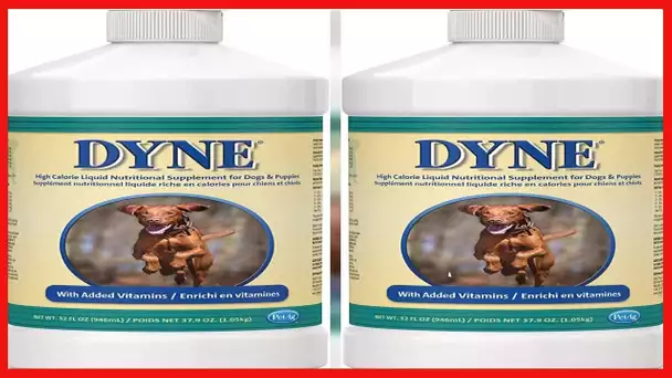 Dyne High Calorie/Weight Gainer Liquid for Dogs, 32 oz