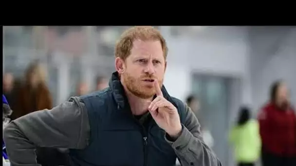 Le rôle royal hybride du prince Harry est démenti alors que les initiés disent « pas de retour » pou