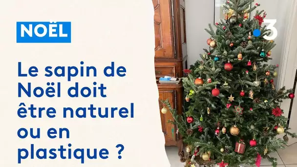 Pour vous, le sapin de Noël doit être naturel ou en plastique ?