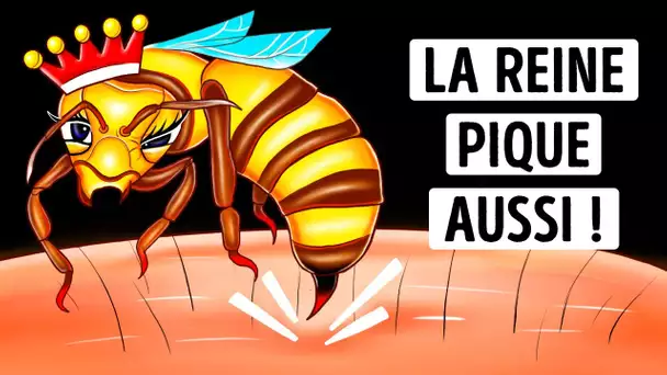 Pourquoi la piqûre de la reine des abeilles peut-elle être plus dangereuse ? Restez vigilants !