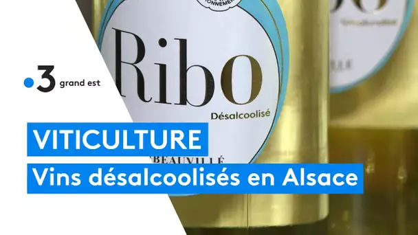 Des vins désalcoolisés en Alsace