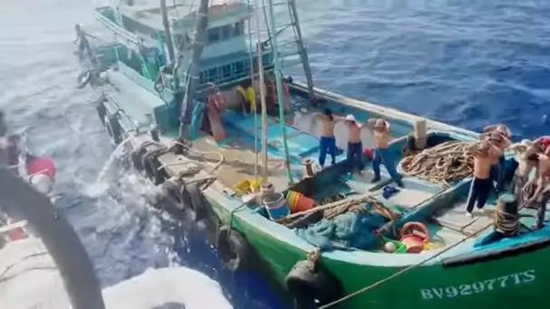 Greencops VS pêcheurs illégaux