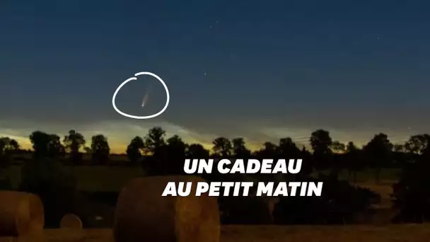 Tous les matins, il est possible de se lever en regardant la comète Neowise