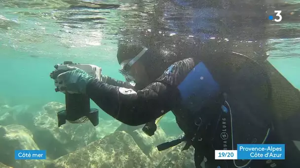 Recherches sous-marines sur le site archéologique d'Olbia à Hyeres