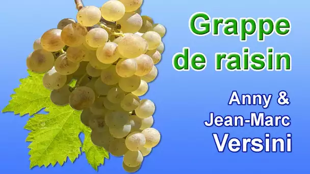 Anny Versini, Jean-Marc Versini - Grappe de raisin (Clip officiel)