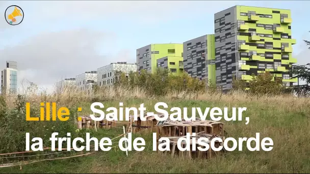 Lille : Saint-Sauveur, la friche de la discorde