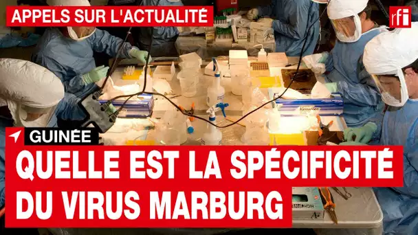 Guinée : quelle est la spécificité du virus Marburg ? • RFI
