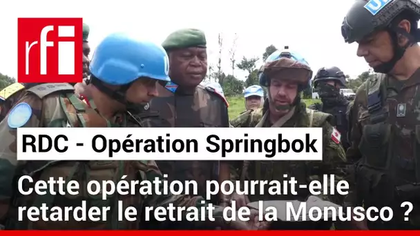 RDC : l’armée et la Monusco lancent l’opération Springbok • RFI
