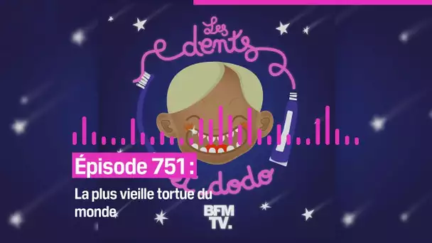 Les dents et dodo - “Épisode 751 : La plus vieille tortue du monde”