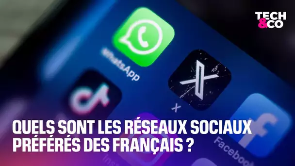 Voici les réseaux sociaux préférés des Français en 2023