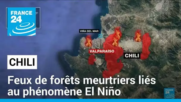 Au moins 112 morts : le Chili dévasté par des incendies de forêt meurtriers • FRANCE 24