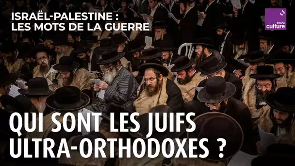 Les Juifs ultra-orthodoxes, paradoxe israélien | Israël-Palestine, les mots de la guerre