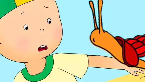 Caillou et L'escargot | Caillou en Français