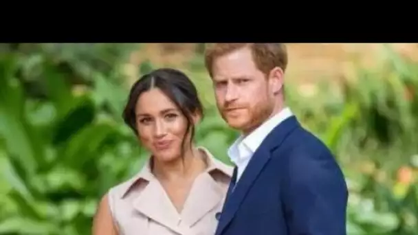 Meghan et Harry snu.b de la famille royale néerlandaise révèlent leur nouveau statut "C'est un symbo