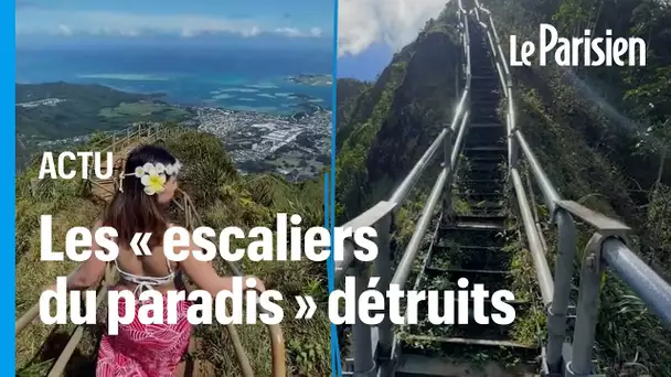 Hawaï : sentier mythique et interdit, l'"escalier du paradis" va être démoli