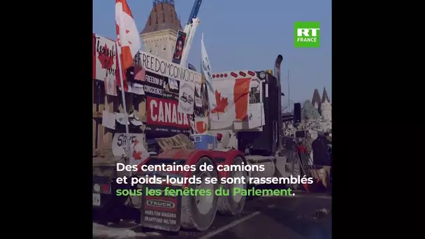 «Convoi de la liberté» : les camionneurs canadiens paralysent Ottawa