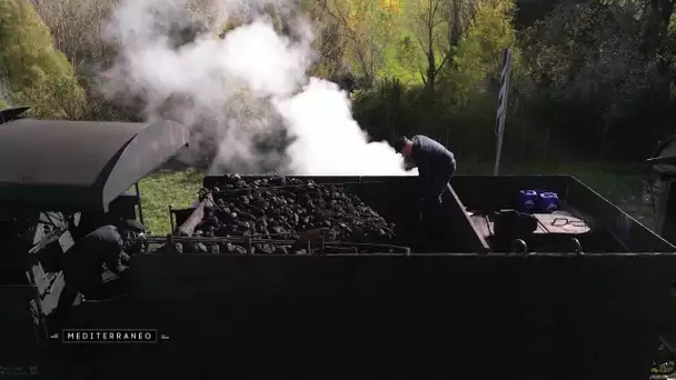 MEDITERRANEO – En Toscane, balade à bord d’un train à vapeur plein de charme