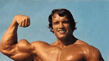 Arnoldi, une mouche super musclée portant le nom d’Arnold Schwarzenegger !
